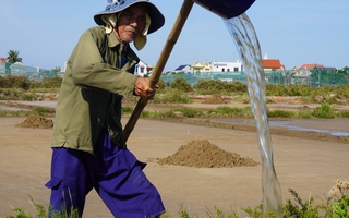 Nghề kỳ lạ, trời càng nắng "như đổ lửa" nông dân càng vui