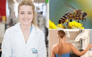 Chữa ung thư vú bằng nọc ong mật