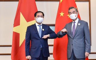 Bộ trưởng Bùi Thanh Sơn gặp Ngoại trưởng Trung Quốc Vương Nghị