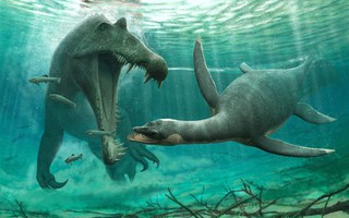 Kinh hãi hài cốt "quái vật hồ Loch Ness" dài 3 m dưới sông Morocco