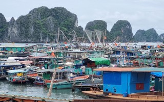 Hải Phòng, Quảng Ninh kêu gọi, hỗ trợ tàu thuyền vào nơi tránh trú bão số 3