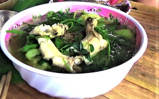 Nhớ hoài cá bống nấu canh tập tàng