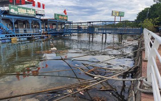 Quảng Bình: Nhà hàng nổi, tàu thuyền "uy hiếp" lan can kè 10 tỉ sông Nhật Lệ