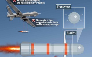 Mỹ dùng vũ khí đặc biệt gì để giết trùm Al-Qaeda?