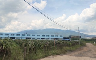 Bình Thuận: Đề nghị chuyển hồ sơ sang công an điều tra việc chuyển mục đích 45.000 m2 đất trái quy định