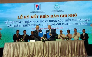 Phát triển thương hiệu ngành cao su Việt Nam