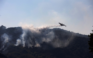 Châu Âu thiệt hại cực lớn vì cháy rừng