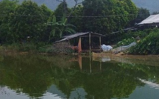 Bố mẹ làm ăn xa, 2 anh em ruột chết đuối thương tâm khi ra ao tắm