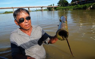 Săn cá "quý" trên sông Trà