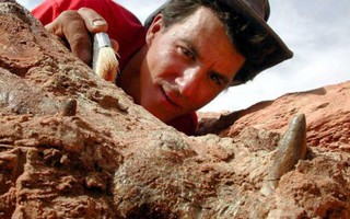 Siêu quái vật 12 m chuyên ăn thịt khủng long "hiện hình" ở Sahara