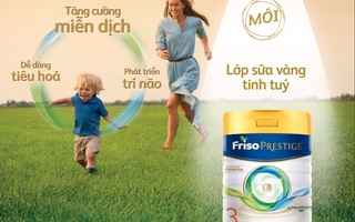Friso Prestige với công thức dinh dưỡng từ “Lớp sữa vàng tinh túy” giúp bé tăng cường miễn dịch