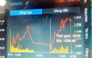 VN-Index biến động như tàu lượn, nhà đầu tư không tin nổi mắt mình!