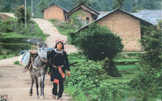 Triển lãm "Chợ trên Đá": Quyên tiền hỗ trợ trẻ em vùng cao học tập