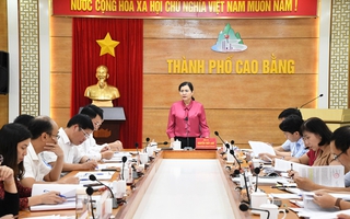 141 đảng viên tại một địa phương bị kỷ luật, hàng chục đảng viên bị khai trừ