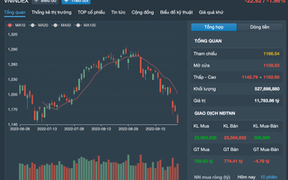 Cổ phiếu hôm nay 28-9: VN-Index xuống đáy, cổ phiếu đầu tư công giảm sàn hàng loạt