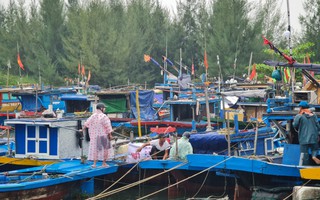 Siêu bão Noru cận kề, 60 ngư dân Đà Nẵng "không chịu lên bờ"