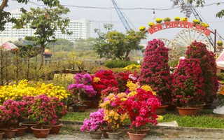 Khởi động chợ hoa xuân Bình Điền 2023