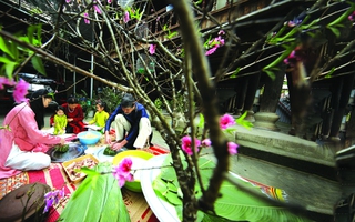 Bài thơ  "Gió qua cầu Rạch Miễu" và "Bắt đầu từ vạn thọ"