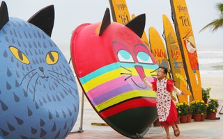 Mèo trên thuyền thúng cuốn hút du khách tại Đà Nẵng