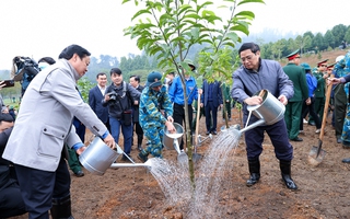 Thủ tướng Phạm Minh Chính phát động Tết trồng cây Xuân Quý Mão