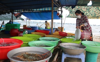 "Cân điêu” hải sản ở Mũi Né, địa phương đề nghị tháo dỡ lều quán