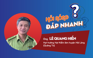 Hình ảnh đau nhói bên "ma trận" tận diệt chim trời: Hạt trưởng Hạt kiểm lâm cam kết gì?