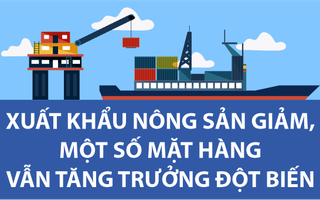 Infographic: Xuất khẩu nông sản giảm, một số mặt hàng vẫn tăng trưởng đột biến