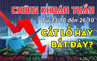 Chứng khoán tuần tới 23-10 đến 26-10: Cắt lỗ hay bắt đáy?