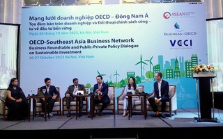 OECD muốn tăng cường hợp tác đầu tư phát triển bền vững tại Đông Nam Á