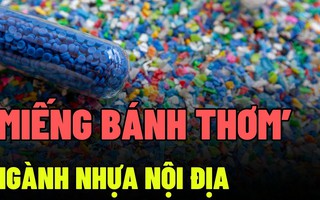 Vì sao doanh nghiệp nhựa luôn nằm trong tầm ngắm thâu tóm của đại gia Thái Lan?