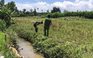 Bắt cua ngoài đồng, người phụ nữ tử vong cạnh bẫy chuột bằng kích điện