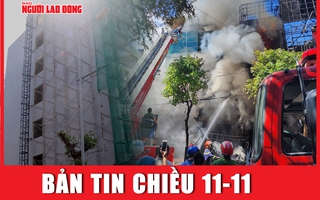 Bản tin chiều 11-11: 3 công nhân thiệt mạng ở Bình Thuận | Vợ chồng già mất 10 tỉ đồng trong chớp mắt