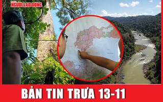 Bản tin chiều 13-11: 35 người tử vong do sốt xuất huyết, số ca mắc tăng cao