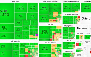 Sáng 15-11: Đón tin tích cực, chứng khoán trong nước dậy sóng