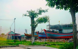 Thêm dự án 350 tỉ đồng để xây dựng khu neo đậu, cảng cá ở Quảng Bình
