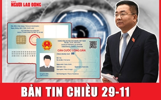 BẢN TIN CHIỀU 29-11: Những điểm mới về thẻ căn cước | Vợ quan chức Ukraine bị đầu độc