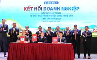 Thu hút đầu tư của Tây Ninh đạt nhiều kết quả ấn tượng