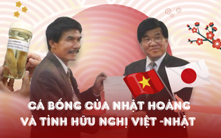 Cá bống của Nhật hoàng và tình hữu nghị Việt - Nhật