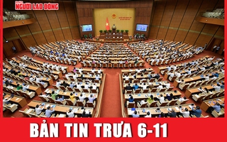 Bản tin trưa 6-11: Quốc hội chất vấn thành viên Chính phủ, giá vàng SJC lao dốc không phanh