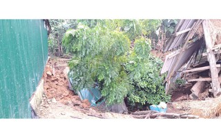 Điều tra nguyên nhân sụt lún đất bất thường tại Hà Tĩnh