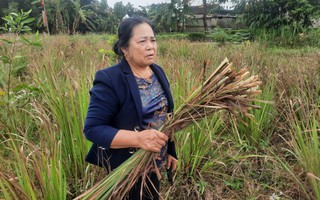 Doanh nghiệp "quên lời", hàng trăm hộ dân thiệt đơn, thiệt kép