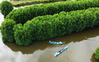 Kỳ vọng lớn cho ngành nông nghiệp ĐBSCL