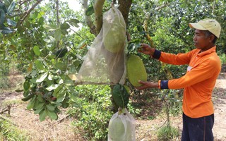 Sóc Trăng: Tập trung chính sách giảm nghèo, chăm lo đồng bào dân tộc thiểu số