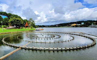 Nhạc nước hồ Xuân Hương sẽ hoạt động lại trước 25-12