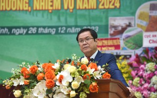 VRG phấn đấu cho thuê mới 245 ha đất khu công nghiệp trong năm 2024