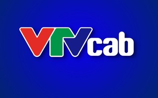 VTVcab Sport không còn là công ty con của VTVcab