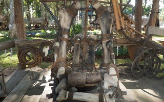 Gia Lai: Chiếc ghế xương voi trắng "độc nhất vô nhị" niên đại 700 năm