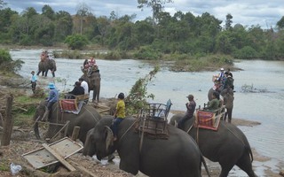 Du lịch nay phải khác