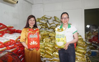 Xuất khẩu 15 tấn gạo hữu cơ Quảng Trị sang châu Âu