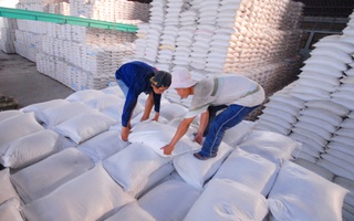 Xuất khẩu gạo tiềm ẩn rủi ro phụ thuộc thị trường